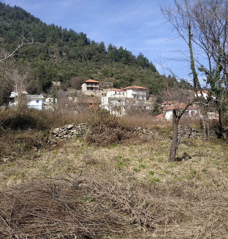 Land for sale at Thasos Island, Greece Europe House Store